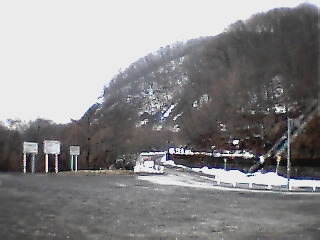 �R������������Ɛቻ�ς��Ă��܂�